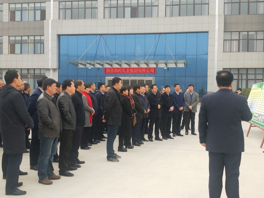 PP���ӡ�������(������Ϸ)�ٷ���վ