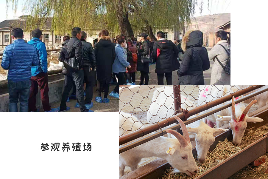 PP���ӡ�������(������Ϸ)�ٷ���վ