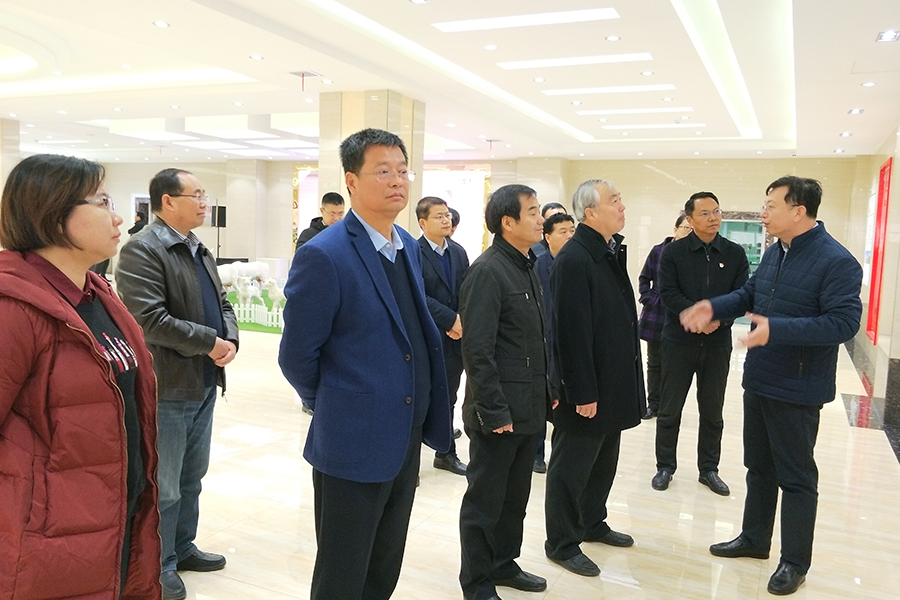 PP���ӡ�������(������Ϸ)�ٷ���վ