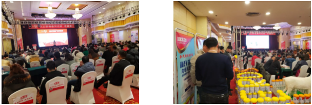 PP���ӡ�������(������Ϸ)�ٷ���վ