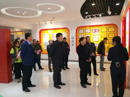 PP���ӡ�������(������Ϸ)�ٷ���վ