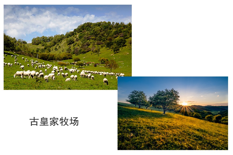 PP���ӡ�������(������Ϸ)�ٷ���վ