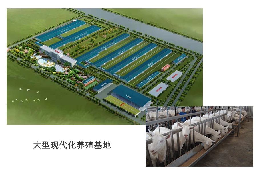 PP���ӡ�������(������Ϸ)�ٷ���վ