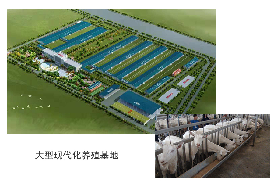 PP���ӡ�������(������Ϸ)�ٷ���վ