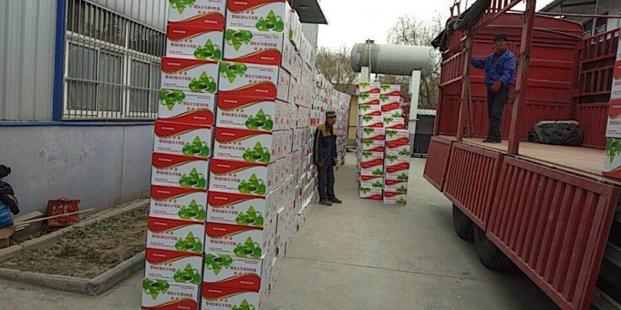 PP���ӡ�������(������Ϸ)�ٷ���վ