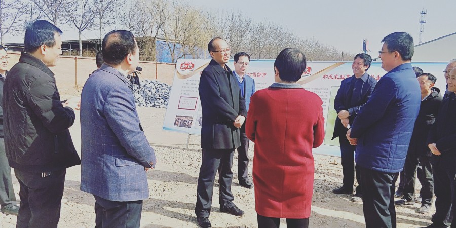 PP���ӡ�������(������Ϸ)�ٷ���վ