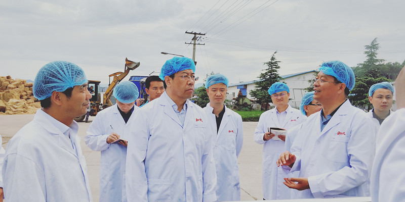 PP���ӡ�������(������Ϸ)�ٷ���վ