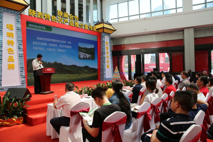 PP���ӡ�������(������Ϸ)�ٷ���վ