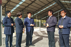 PP���ӡ�������(������Ϸ)�ٷ���վ