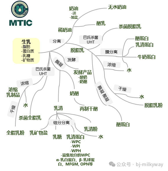 PP���ӡ�������(������Ϸ)�ٷ���վ