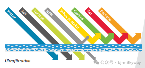 PP���ӡ�������(������Ϸ)�ٷ���վ