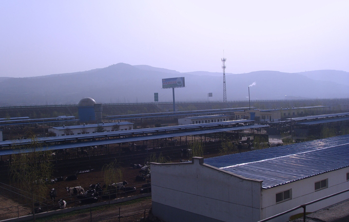 PP���ӡ�������(������Ϸ)�ٷ���վ