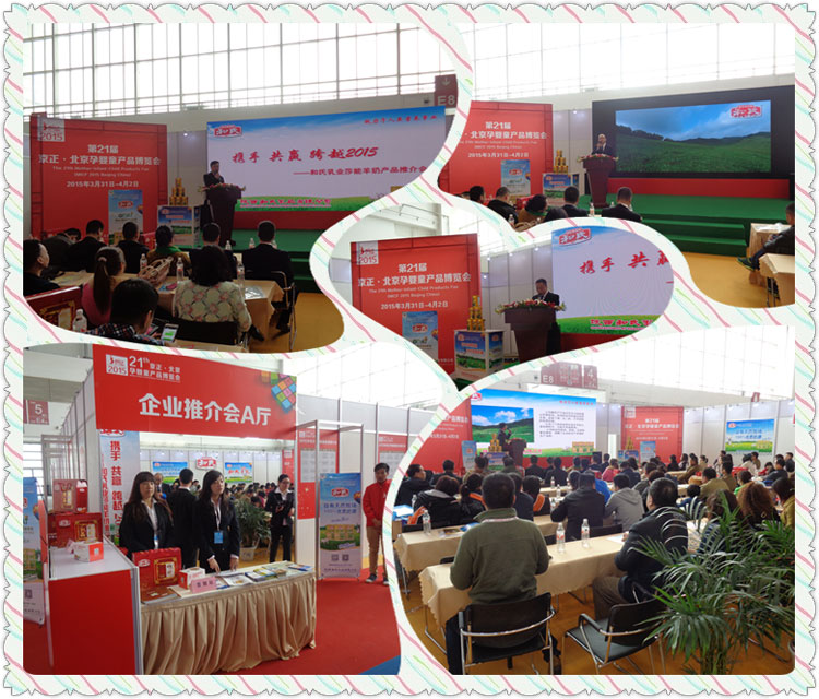 PP���ӡ�������(������Ϸ)�ٷ���վ