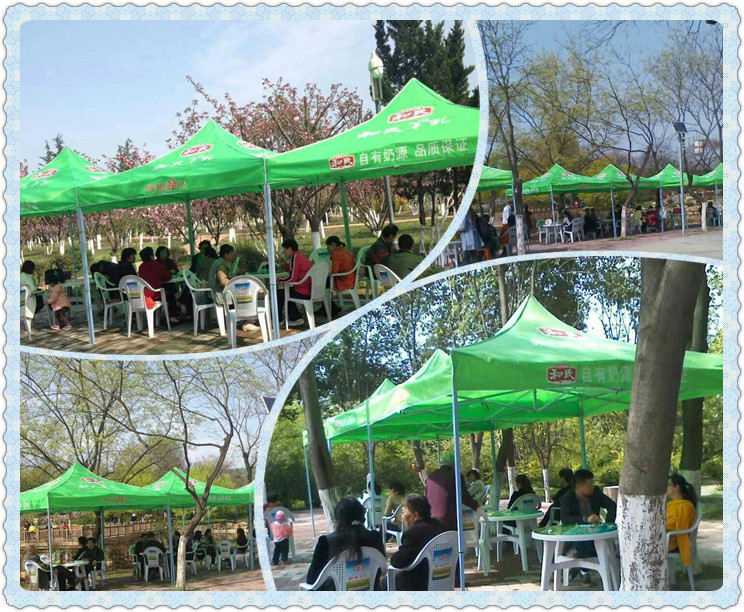 PP���ӡ�������(������Ϸ)�ٷ���վ