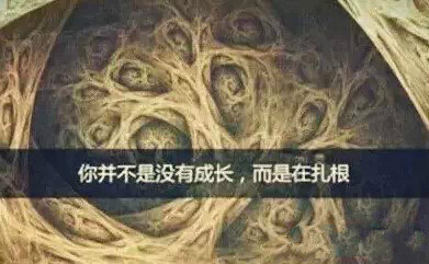 PP���ӡ�������(������Ϸ)�ٷ���վ