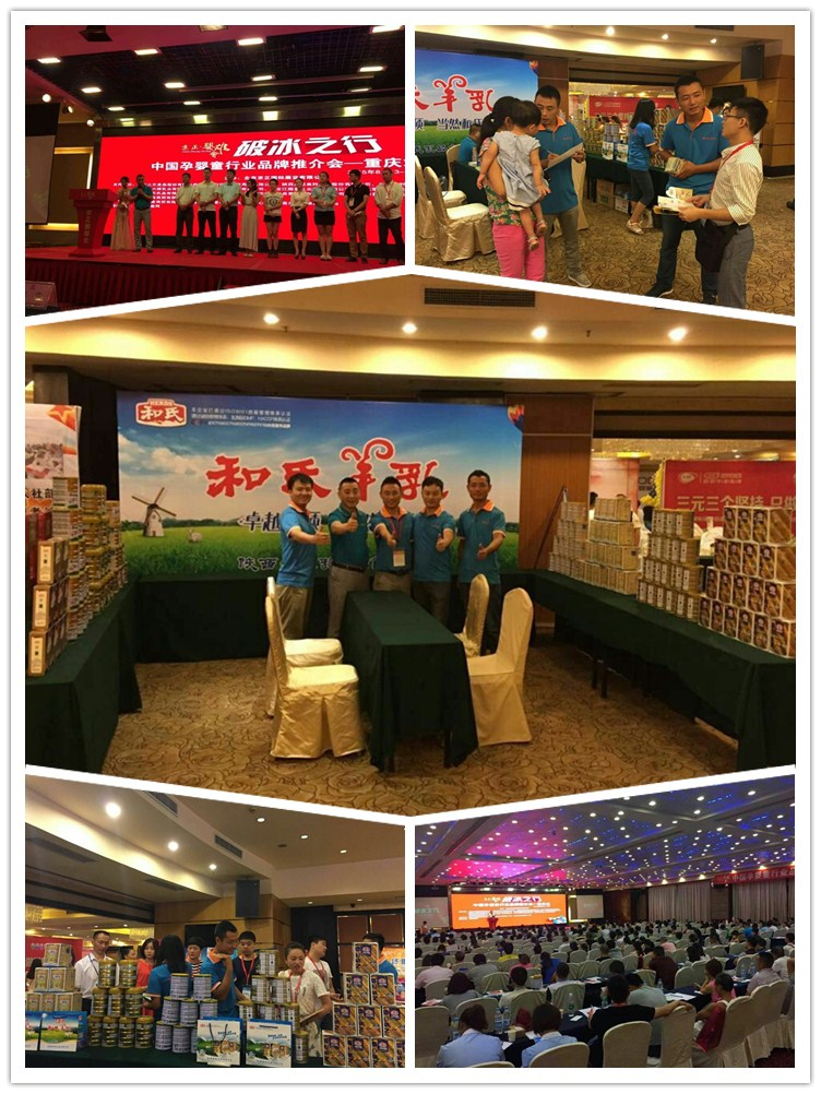 PP���ӡ�������(������Ϸ)�ٷ���վ