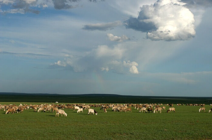 PP���ӡ�������(������Ϸ)�ٷ���վ