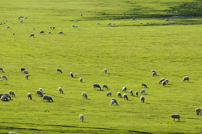 PP���ӡ�������(������Ϸ)�ٷ���վ