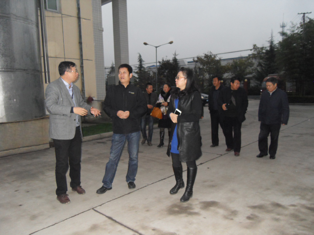 PP���ӡ�������(������Ϸ)�ٷ���վ