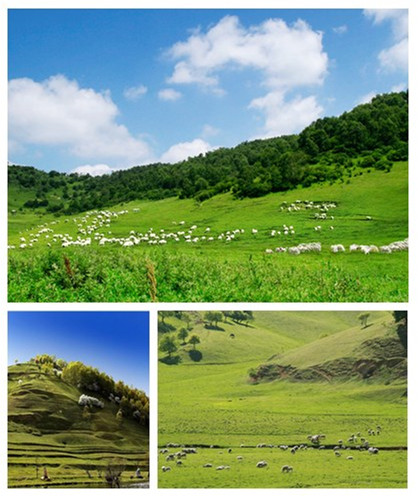 PP���ӡ�������(������Ϸ)�ٷ���վ