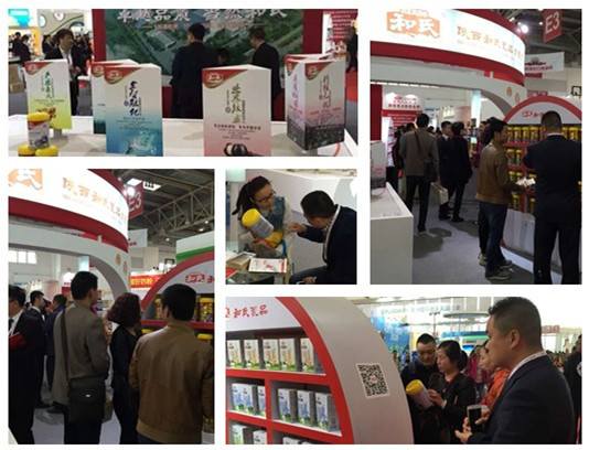 PP���ӡ�������(������Ϸ)�ٷ���վ