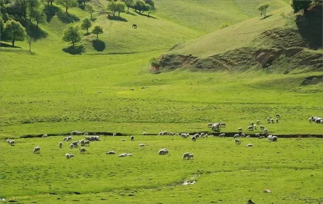 PP���ӡ�������(������Ϸ)�ٷ���վ