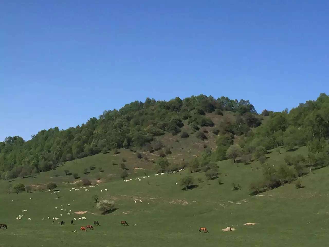 PP���ӡ�������(������Ϸ)�ٷ���վ