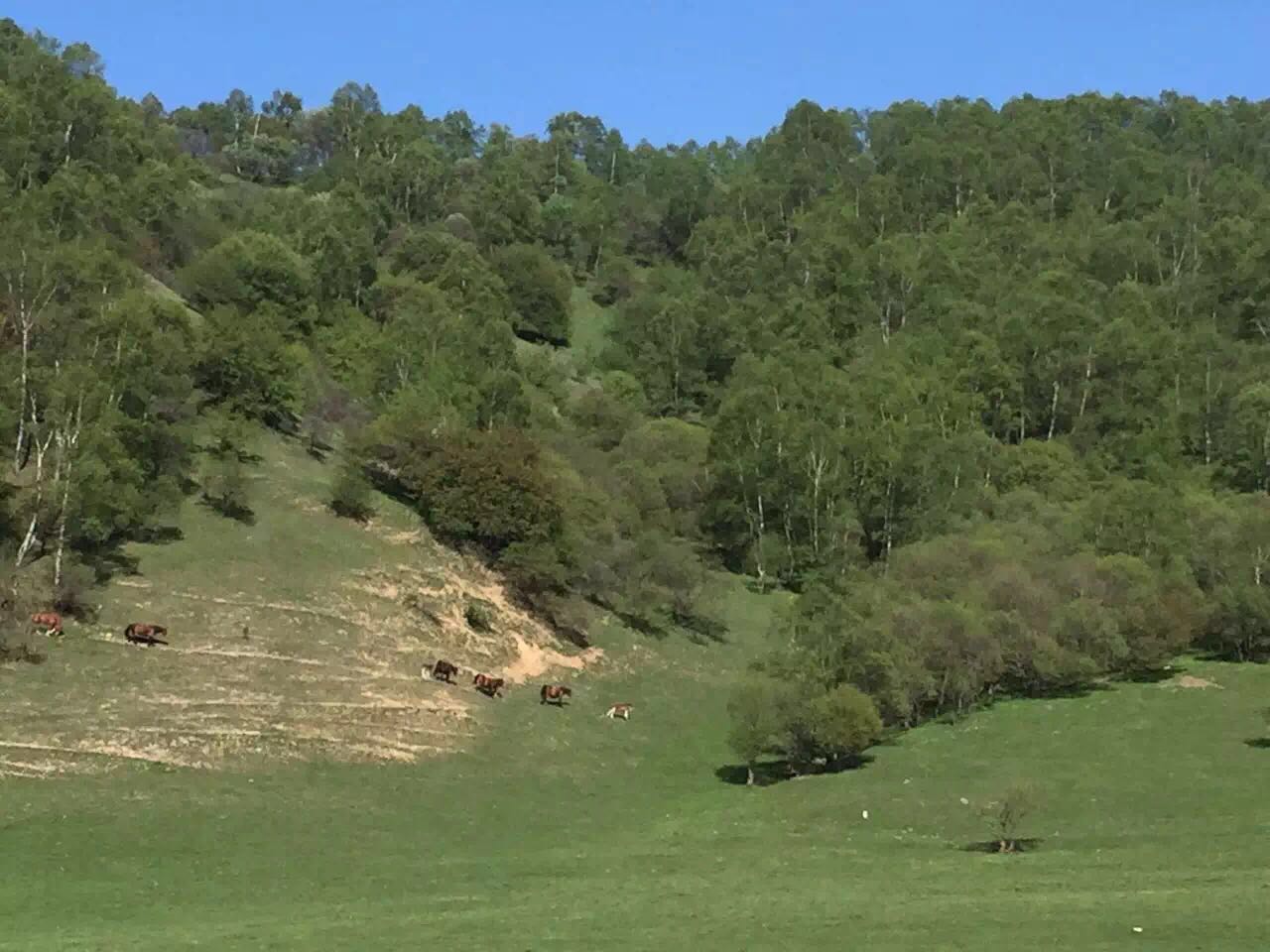 PP���ӡ�������(������Ϸ)�ٷ���վ