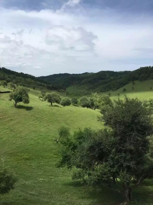 PP���ӡ�������(������Ϸ)�ٷ���վ