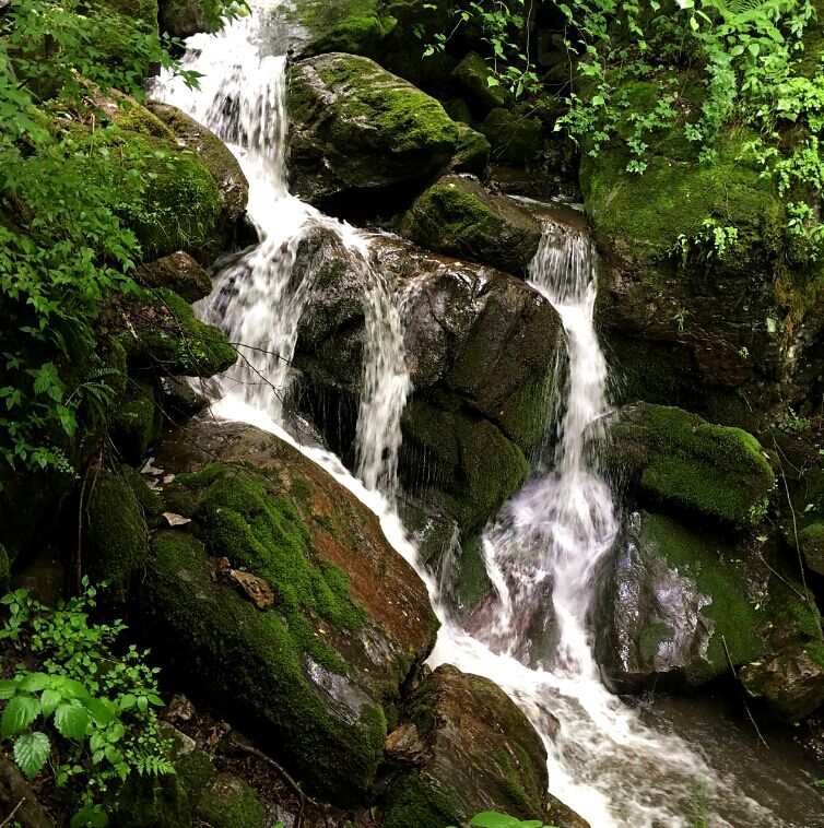 PP���ӡ�������(������Ϸ)�ٷ���վ