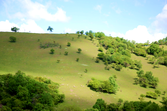 PP���ӡ�������(������Ϸ)�ٷ���վ