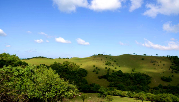 PP���ӡ�������(������Ϸ)�ٷ���վ