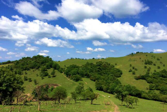 PP���ӡ�������(������Ϸ)�ٷ���վ