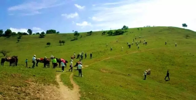 PP���ӡ�������(������Ϸ)�ٷ���վ