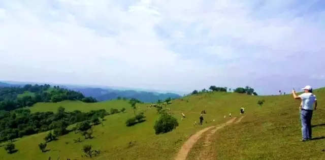 PP���ӡ�������(������Ϸ)�ٷ���վ