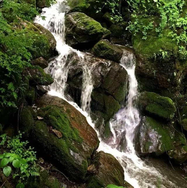 PP���ӡ�������(������Ϸ)�ٷ���վ