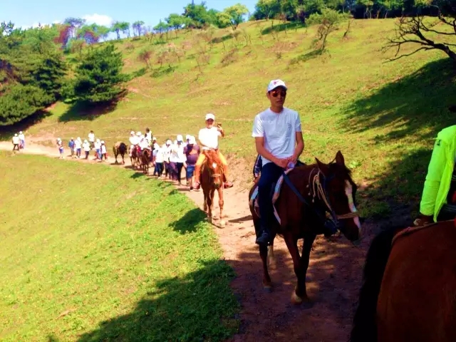 PP���ӡ�������(������Ϸ)�ٷ���վ