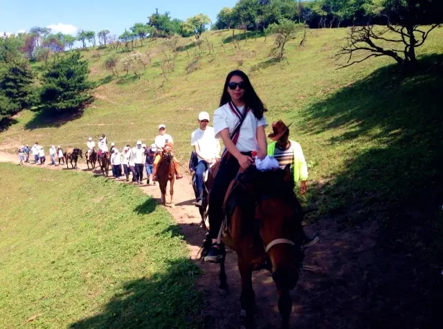 PP���ӡ�������(������Ϸ)�ٷ���վ