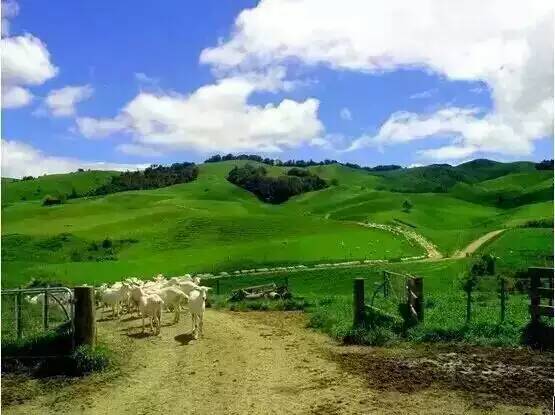 PP���ӡ�������(������Ϸ)�ٷ���վ