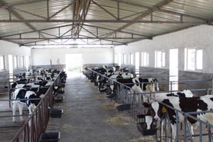 PP���ӡ�������(������Ϸ)�ٷ���վ