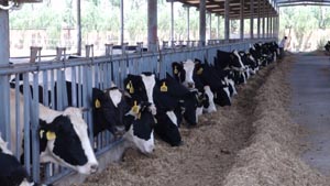 PP���ӡ�������(������Ϸ)�ٷ���վ